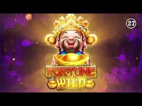 Usability in Wild Fortune Casino